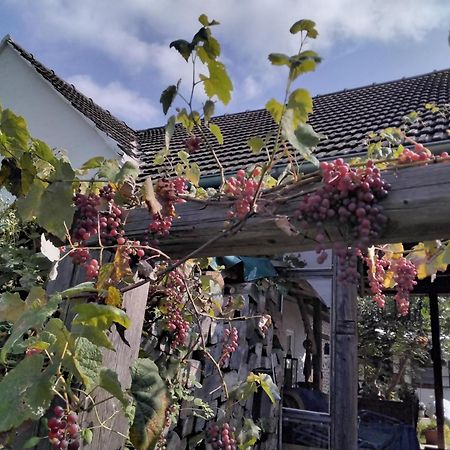 Gemuetlichkeit Am Vierkanthof - Apartment 2 Worterberg エクステリア 写真