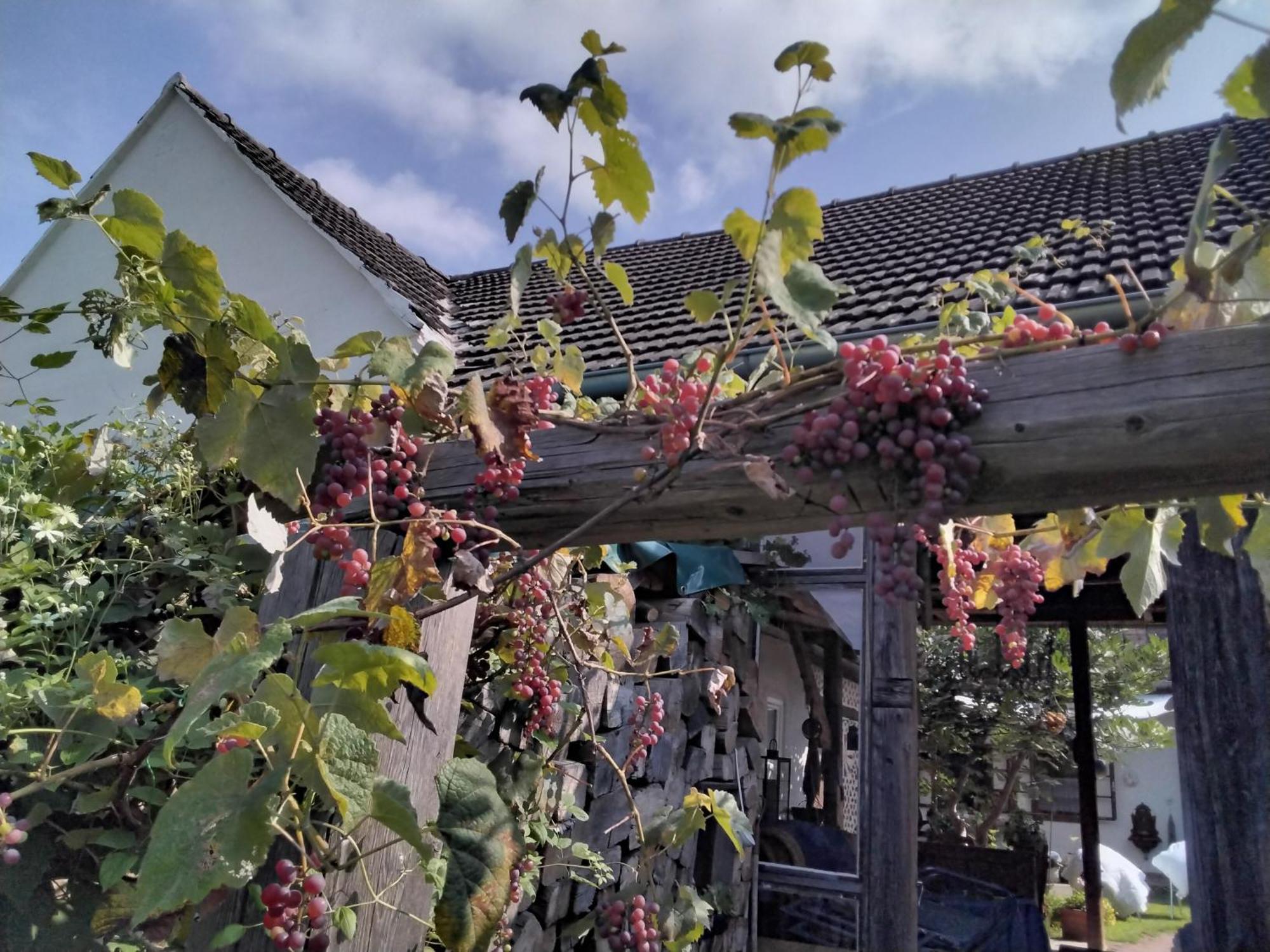 Gemuetlichkeit Am Vierkanthof - Apartment 2 Worterberg エクステリア 写真